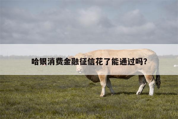 哈银消费金融征信花了能通过吗?