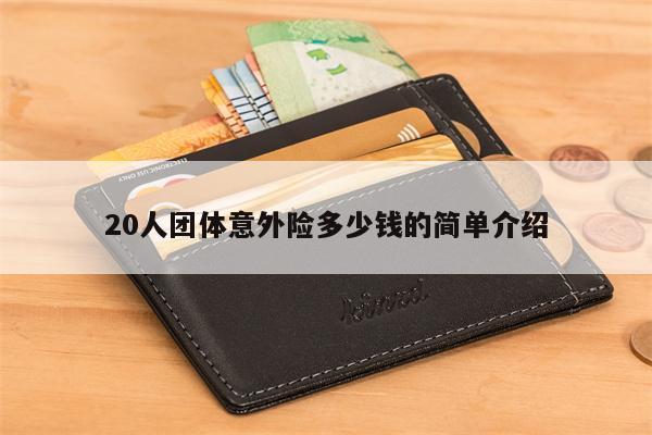 20人团体意外险多少钱的简单介绍