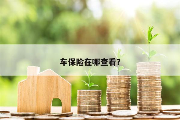 车保险在哪查看？