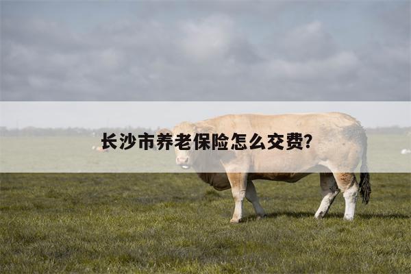 长沙市养老保险怎么交费？