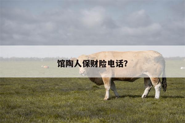 馆陶人保财险电话？