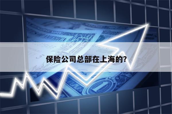 保险公司总部在上海的？