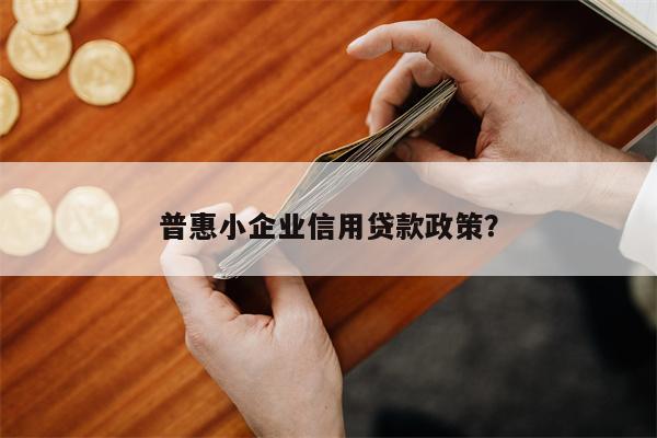 普惠小企业信用贷款政策?