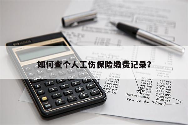 如何查个人工伤保险缴费记录？