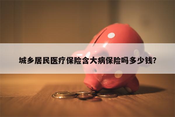 城乡居民医疗保险含大病保险吗多少钱？