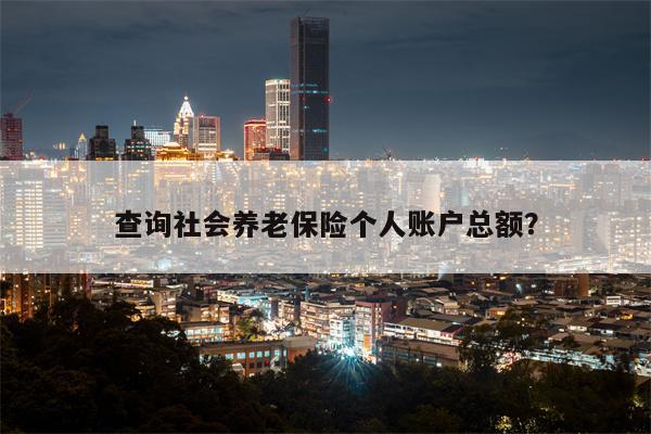 查询社会养老保险个人账户总额？