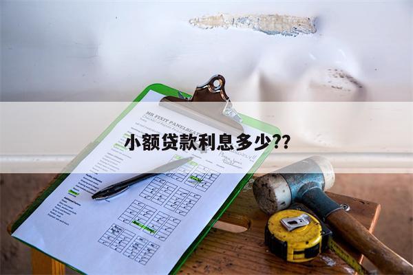 小额贷款利息多少??