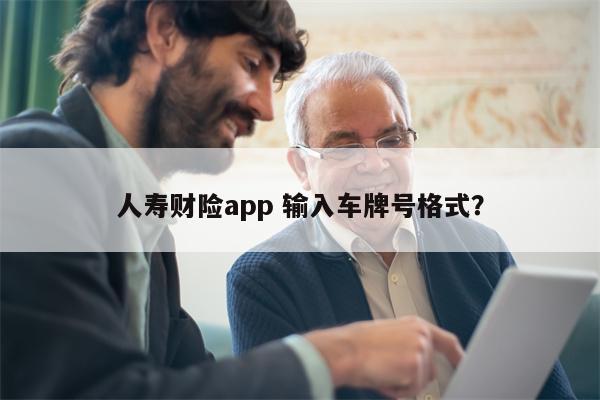 人寿财险app 输入车牌号格式？