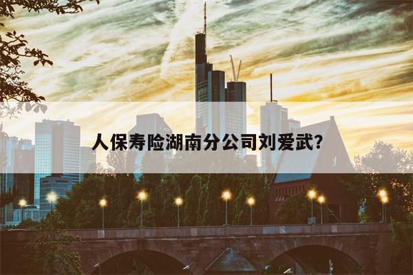 人保寿险湖南分公司刘爱武？