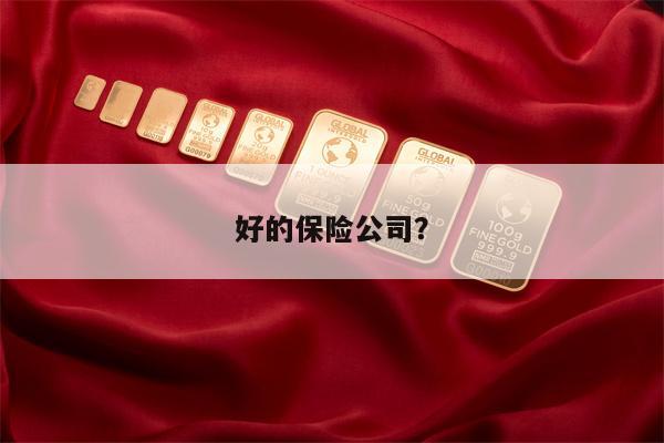 好的保险公司？