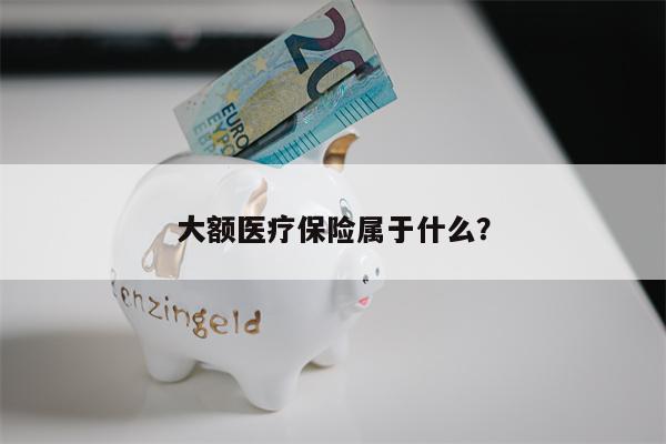 大额医疗保险属于什么？