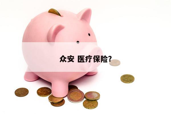 众安 医疗保险？