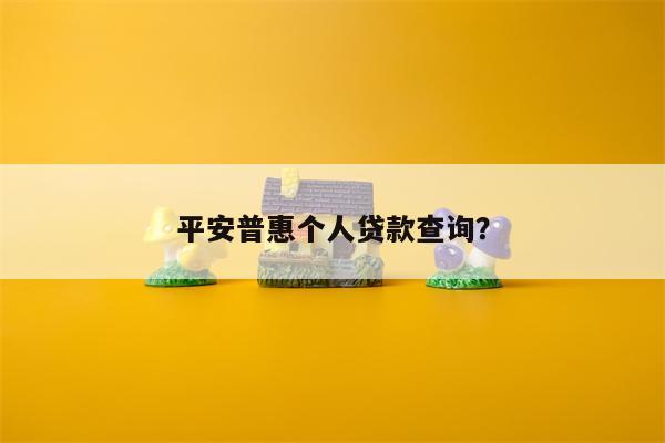 平安普惠个人贷款查询?