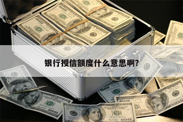 银行授信额度什么意思啊？