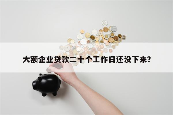 大额企业贷款二十个工作日还没下来？