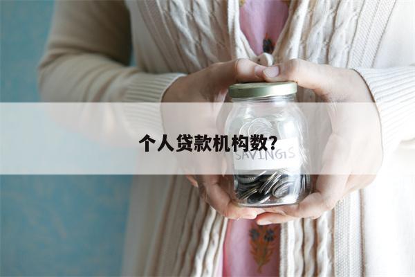 个人贷款机构数?
