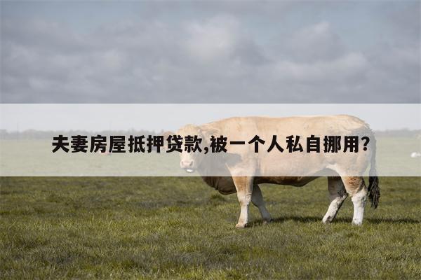 夫妻房屋抵押贷款,被一个人私自挪用？