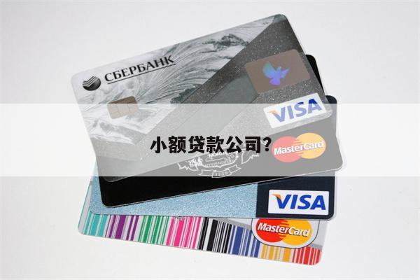 小额贷款公司?