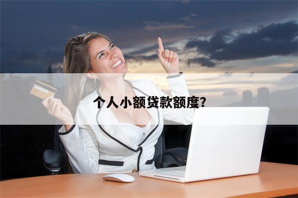 个人小额贷款额度?
