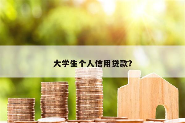 大学生个人信用贷款？