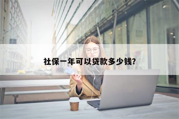 社保一年可以贷款多少钱?