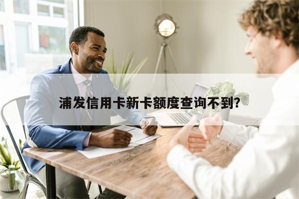 浦发信用卡新卡额度查询不到?