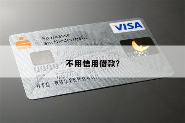 不用信用借款?