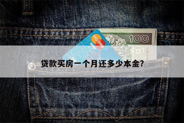 贷款买房一个月还多少本金?