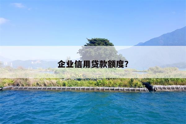 企业信用贷款额度?