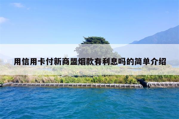 用信用卡付新商盟烟款有利息吗的简单介绍