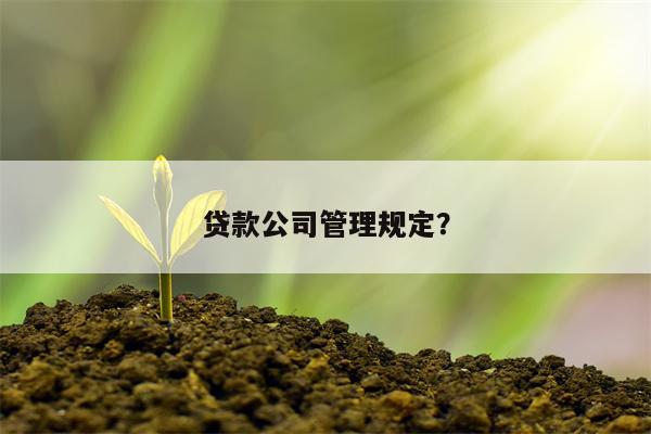 贷款公司管理规定?