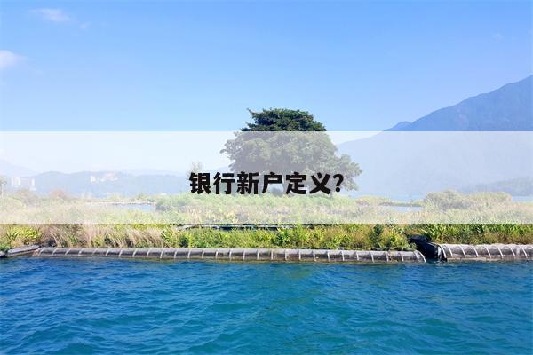 银行新户定义?