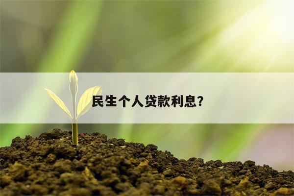 民生个人贷款利息?