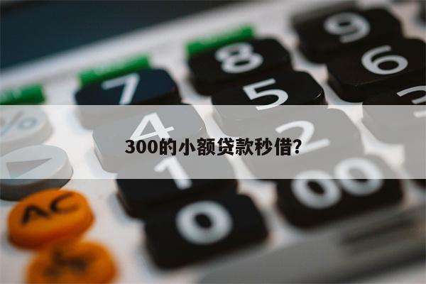 300的小额贷款秒借?