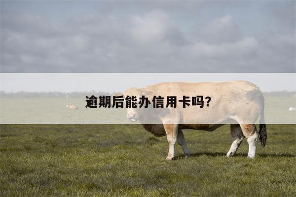 逾期后能办信用卡吗?