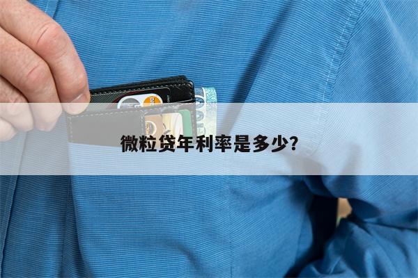 微粒贷年利率是多少?