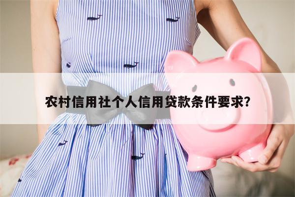 农村信用社个人信用贷款条件要求？