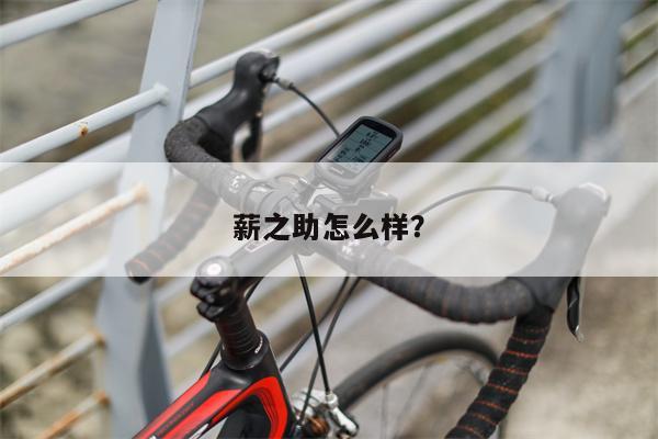 薪之助怎么样？