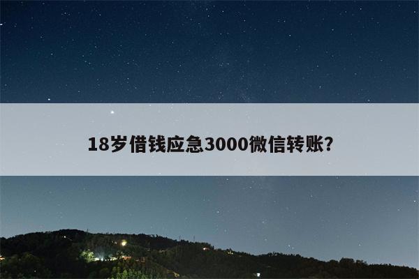 18岁借钱应急3000微信转账？
