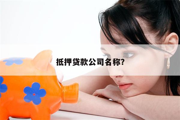 抵押贷款公司名称?