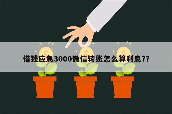 借钱应急3000微信转账怎么算利息?？