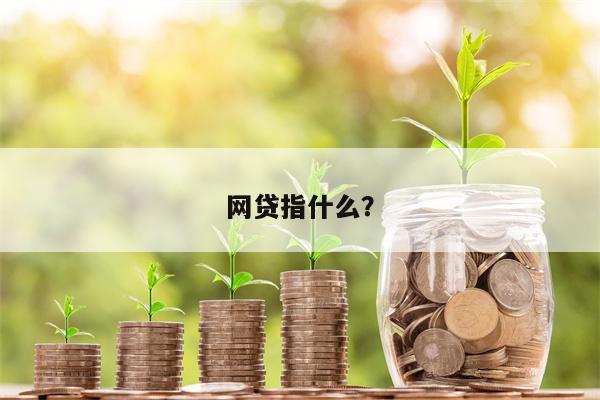 网贷指什么？