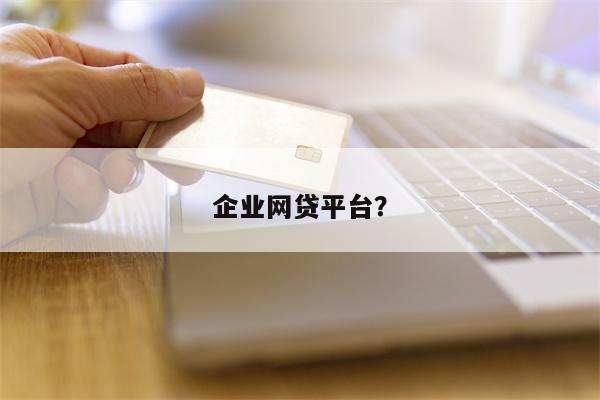 企业网贷平台？