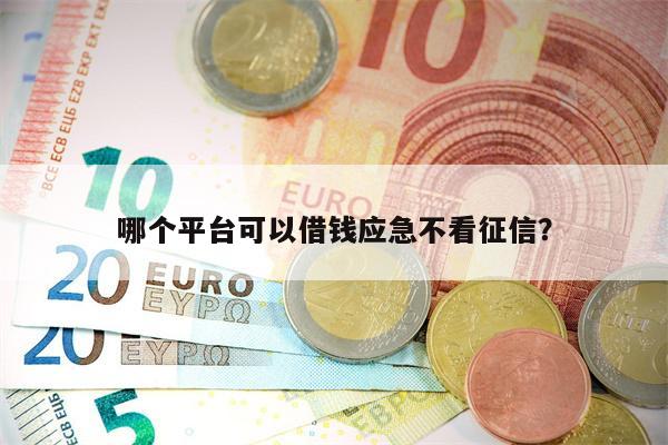 哪个平台可以借钱应急不看征信？