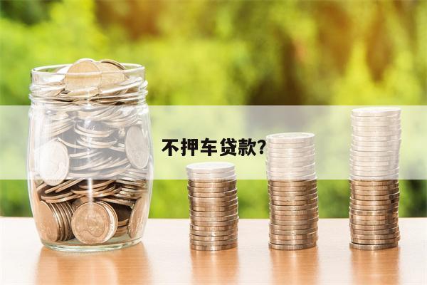 不押车贷款？