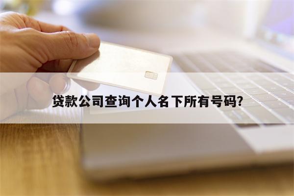 贷款公司查询个人名下所有号码？