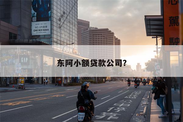 东阿小额贷款公司？