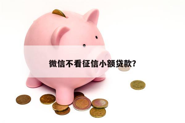 微信不看征信小额贷款？