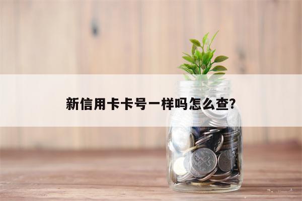 新信用卡卡号一样吗怎么查?