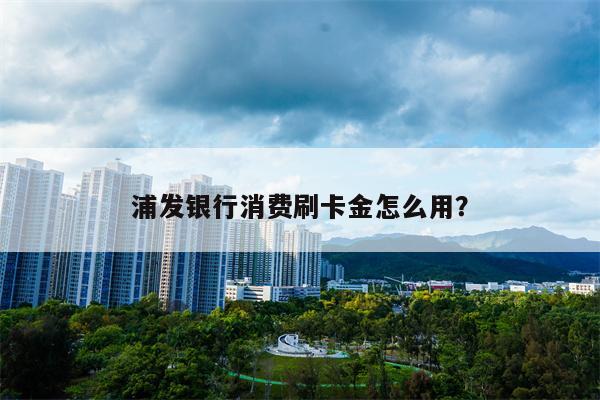 浦发银行消费刷卡金怎么用?
